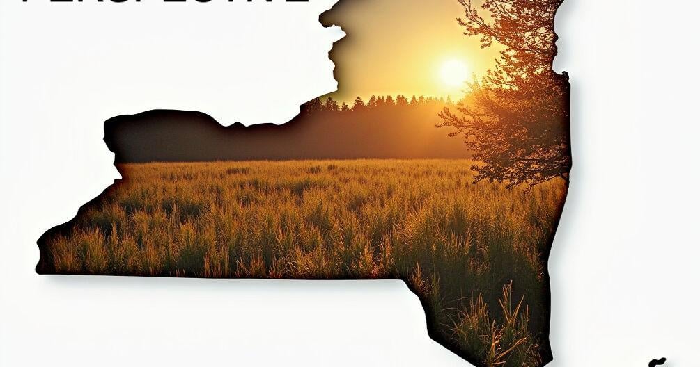 North Country Perspective: We’re now the ugly Americans