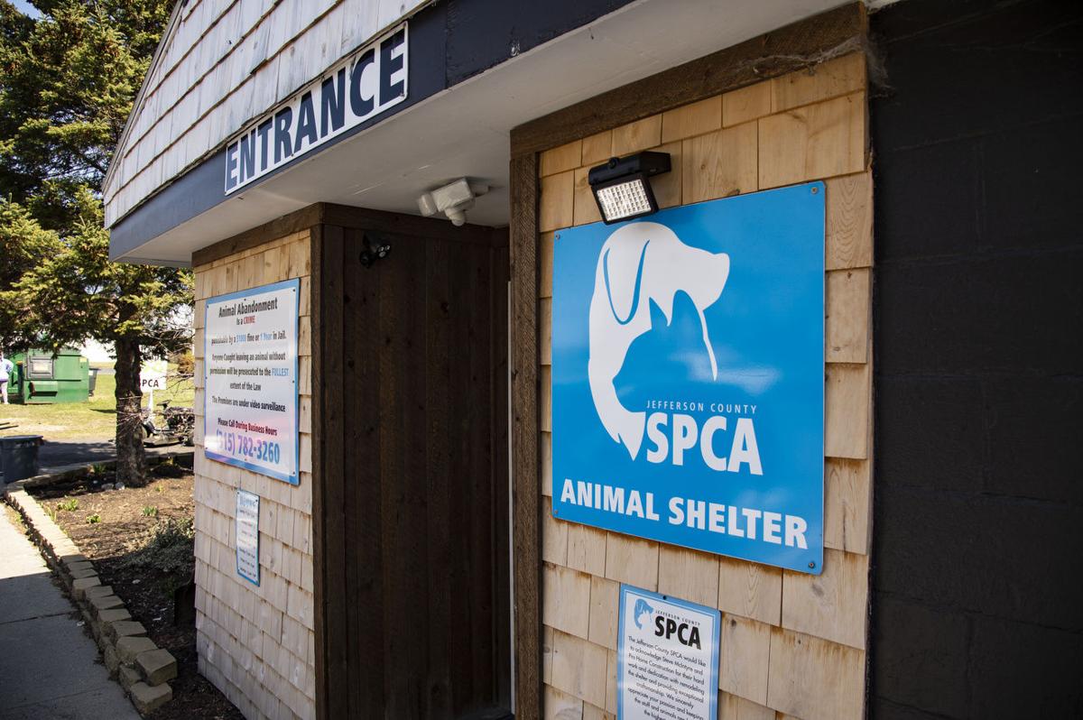 Jefferson County SPCA receives 50,000 grant; plans upgrades