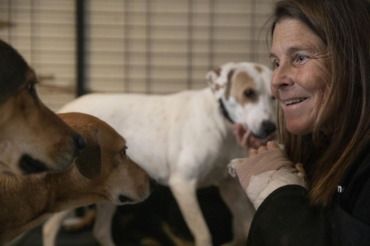 Dog tracker has helped hundreds of families Reunite with their runaway pets