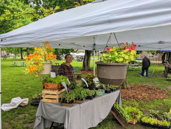 First Canton Farmers Market of the season brightens an otherwise dreary