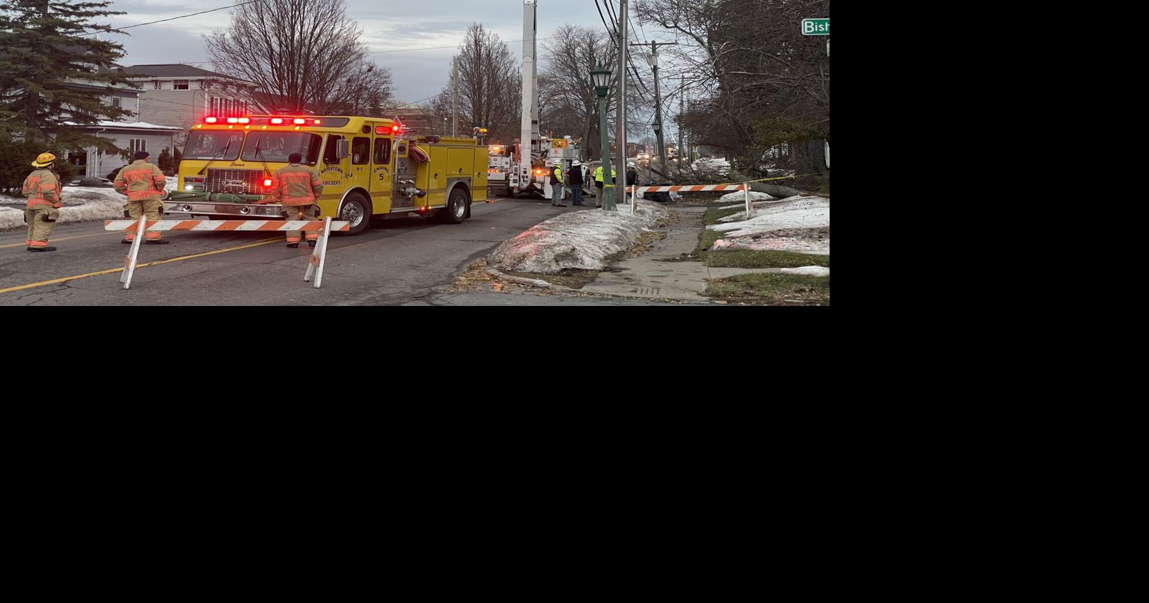 Update High winds take tree down, knock out power in Watertown, power