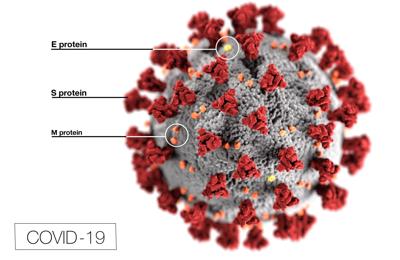 Coronavirus, cold or the flu? Here's how to tell the difference ...