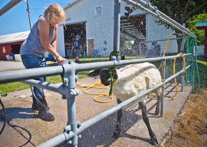 Gouverneur and St. Lawrence County Fair opens Tuesday Arts and