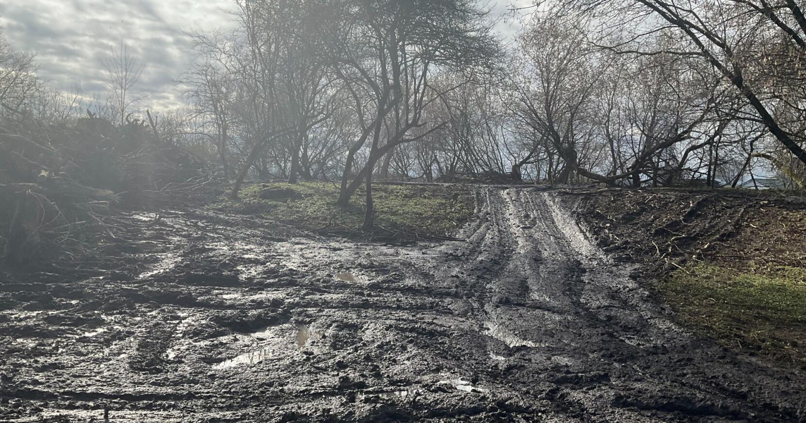 TILT 'discouraged' after seeing land clearing on Carleton Island | Jefferson County News - Vimarsana News
