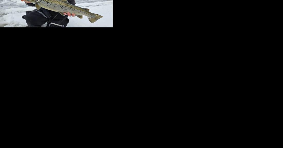 Big catch on Lake Colby: Nearly 9-pound salmon took 15 minutes to reel in, guide says - Vimarsana News