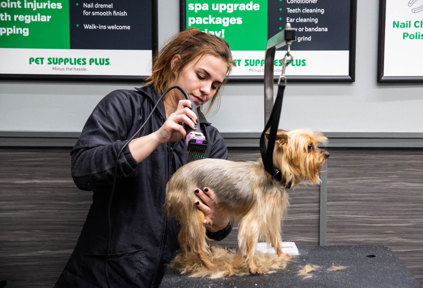 pets supply plus grooming