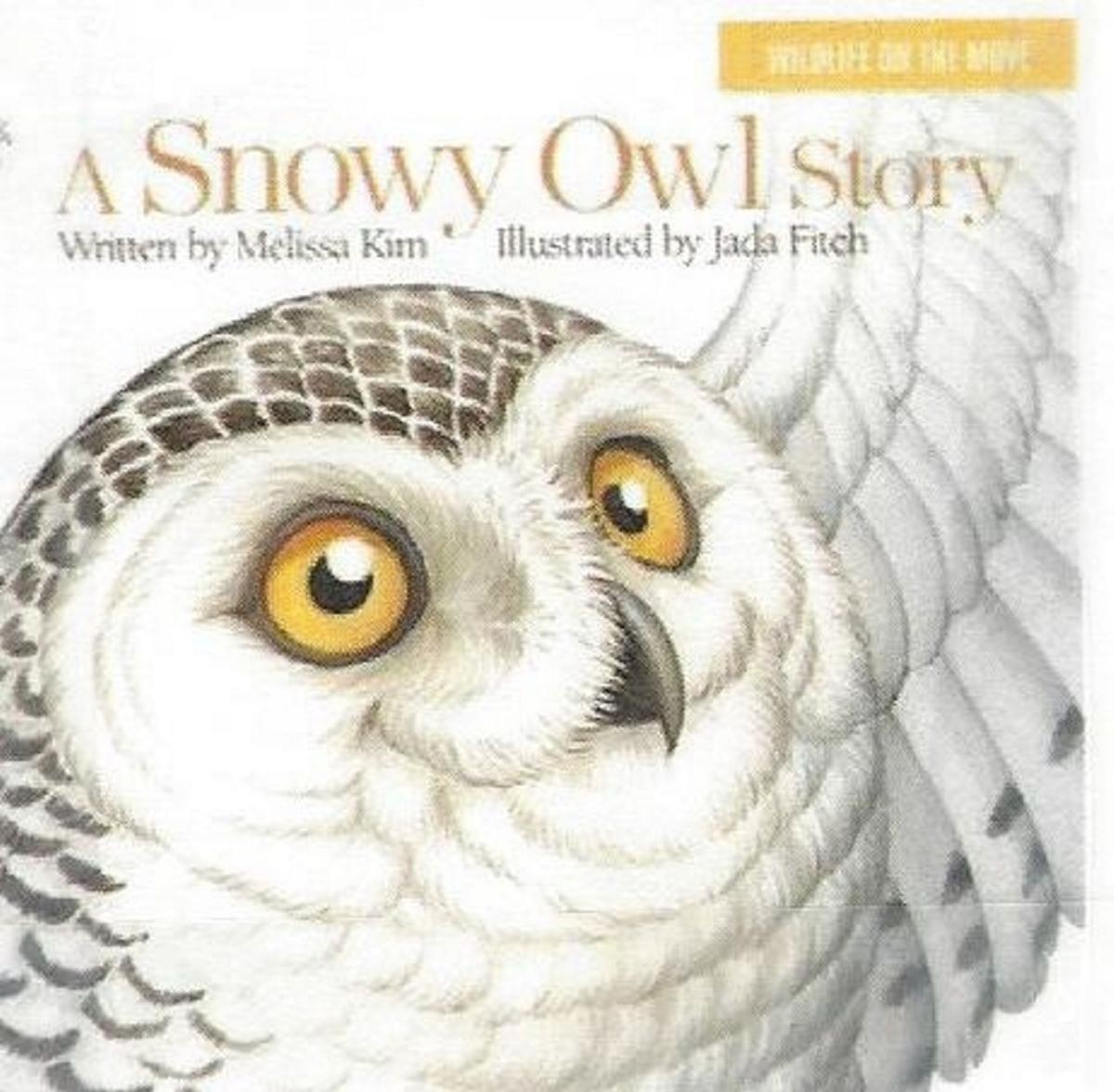 A Snowy Owl Story At Osceola Public Library Oswego County