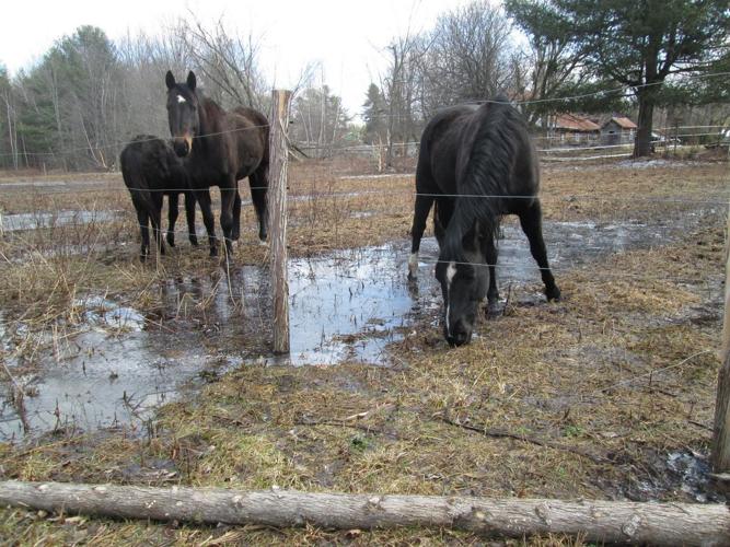 Brasher Falls Divided By Record High St. Regis News