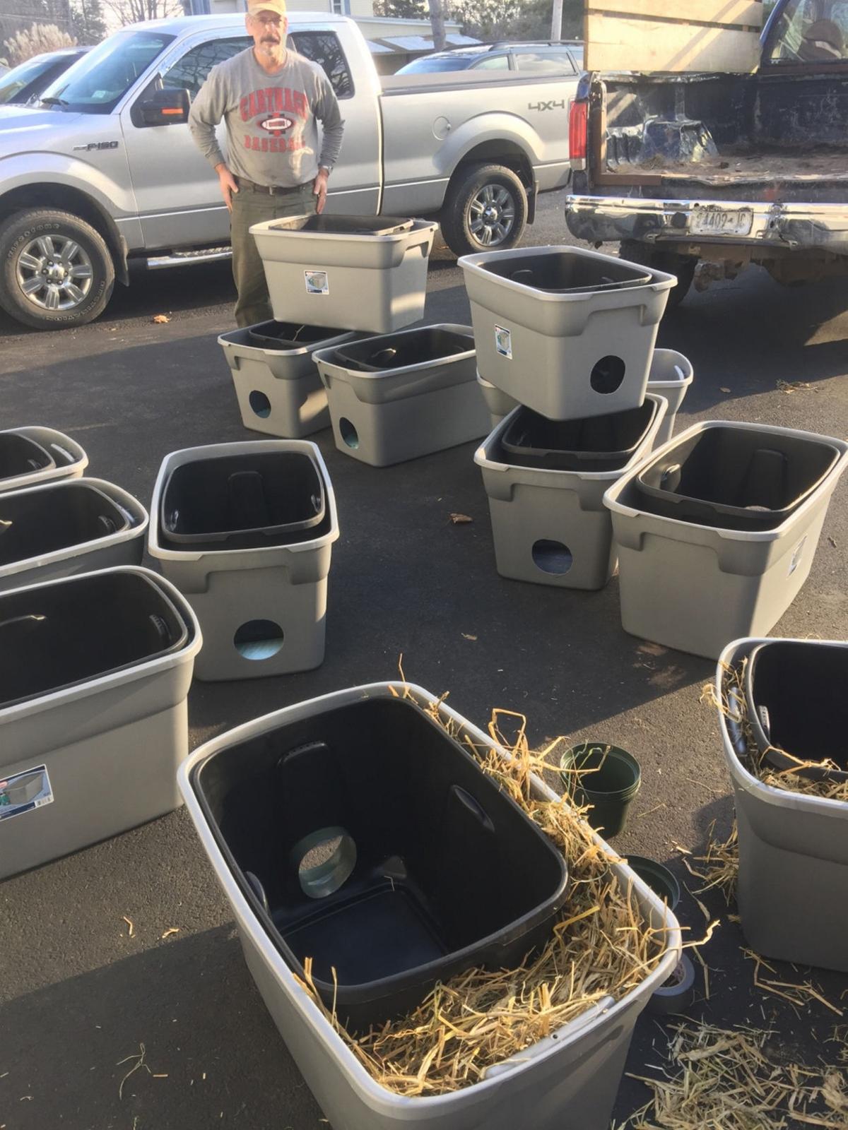 Cat Lovers Build Shelters For Strays News Nny360 Com