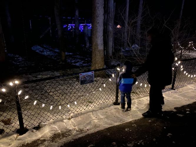 Winter Wonderlights returns to Zoo New York in Watertown Arts and