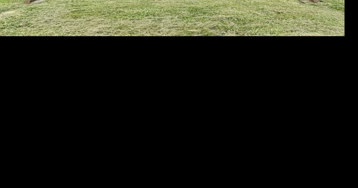 New pieces sought for Sculpture Park in Canton