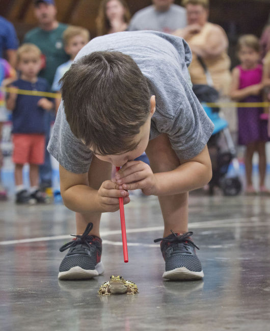 New Boss Frog champion crowned during Massena Recreation Department