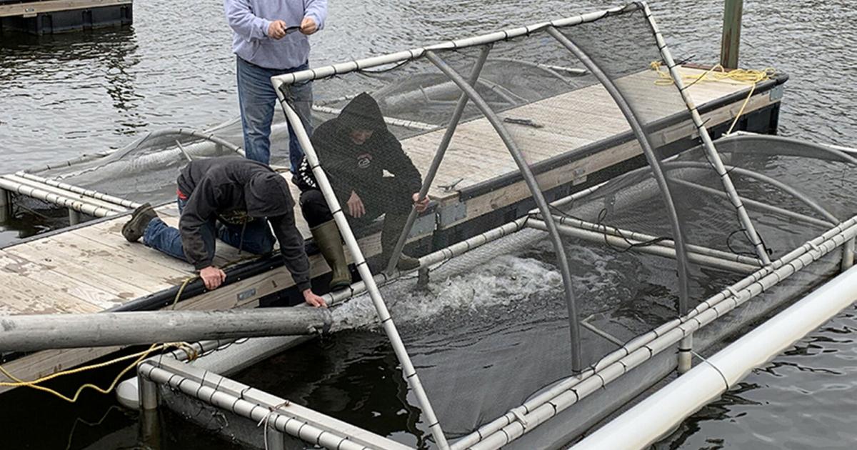 Fish Stocking Annual fish stocking program continues | Recreational Sports | nny360.com