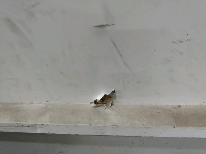 One suspect in custody after shots fired outside Tupper Lake hardware