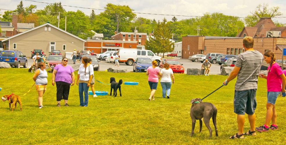 Veterans Memorial Park goes to the dogs News
