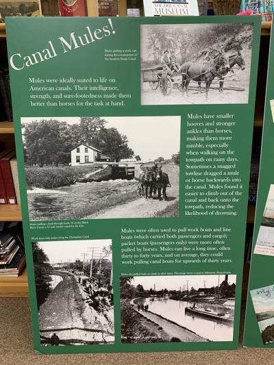 Erie Canal display at Turin library