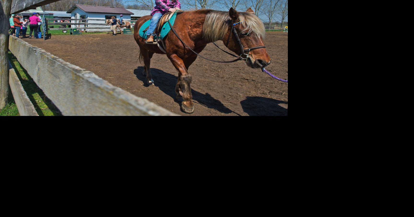 Derby Day festivities back on track | News | nny360.com