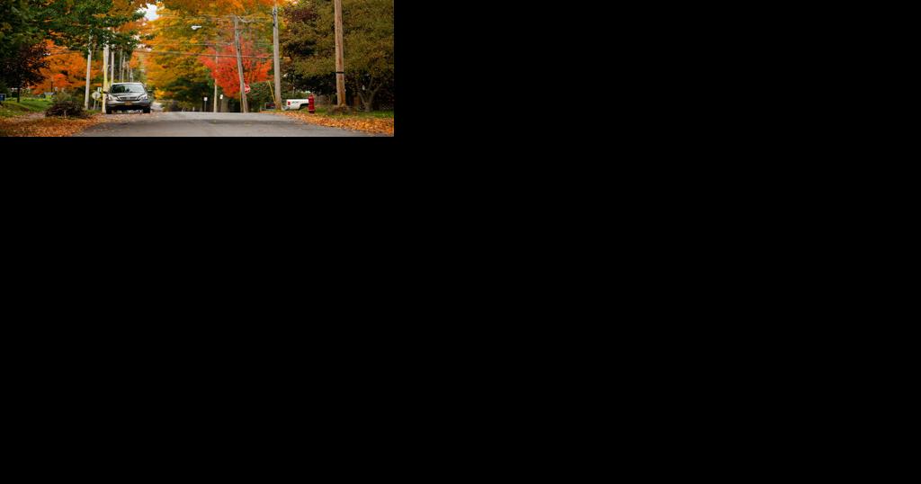 Naturally Lewis to host Fall Foliage Tour Oct. 7 - Vimarsana News