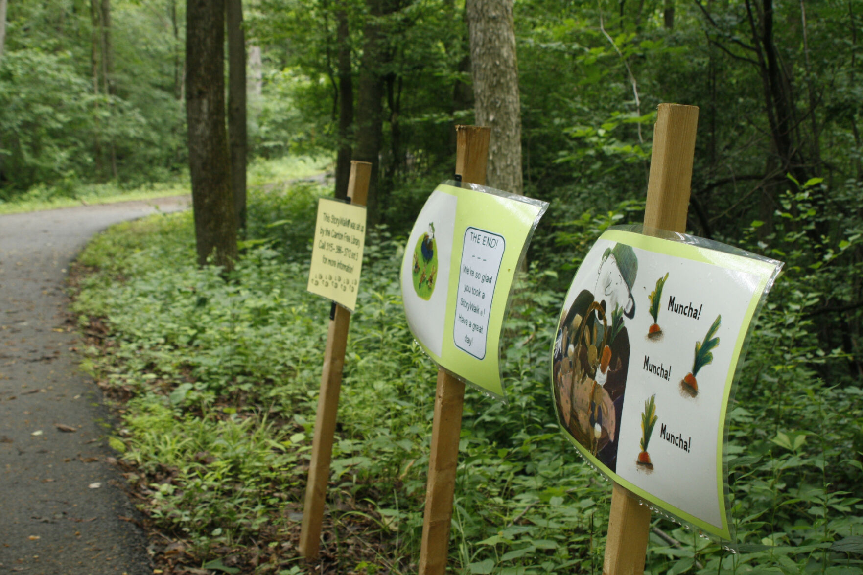Take a StoryWalk with children's books along the Remington Trail in Canton | Education - Vimarsana News