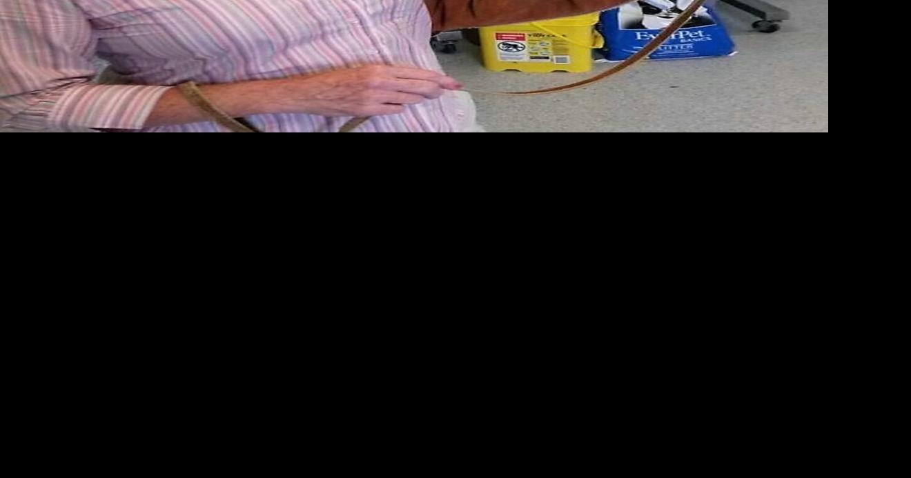 Sackets Harbor Arts Center featuring works of Cindy Eisenhauer Arts