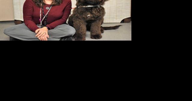 Stirring confidence and joy, therapy dog program begins at Carthage Central School - Vimarsana News