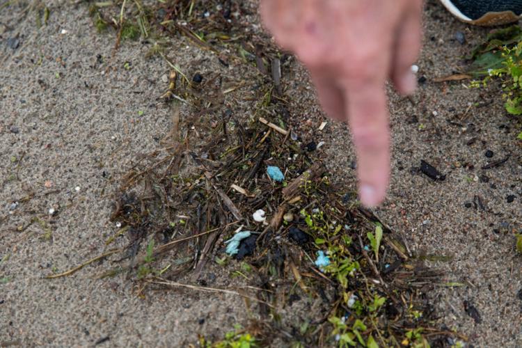N.Y. curriculum takes on plastic pollution