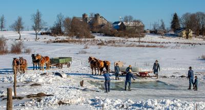 Winter harvest