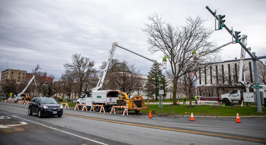 Watertown marks 25 years of Arbor Day with tree plantings Government