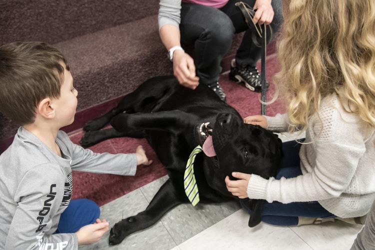 Sackets Harbor school introduces therapy dog Jefferson County News