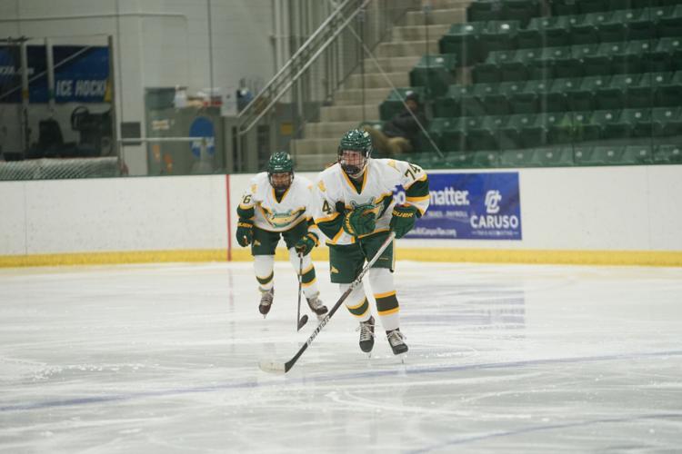 College sports Bednarik making mark for Oswego, Slovakia women’s hockey teams Oswego County