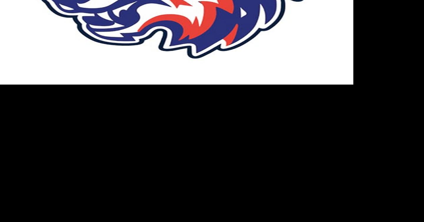 Local pro hockey: Filippov records hat trick as Wolves snap six-game ...
