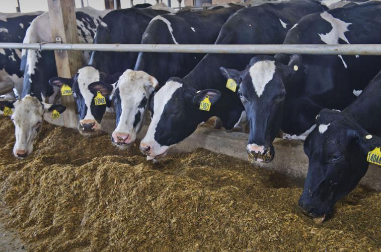 Renewable Natural Gas Stauffer Farm turns methane from 6,000 cows into