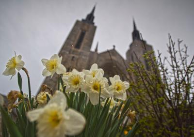 Symbol of spring’s new life