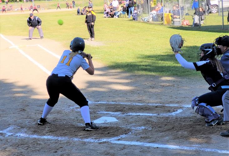 Section 3 Softball 2025
