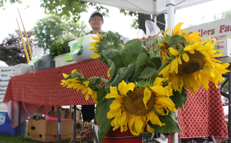 Potsdam Farmers Market fills Ives Park with color News
