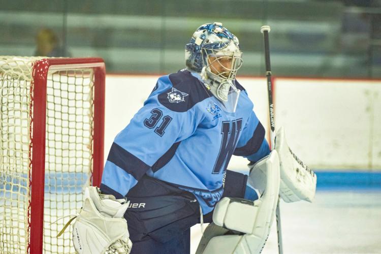 Local pro hockey: Wolves, sporting new head coach and GM, hope for ...