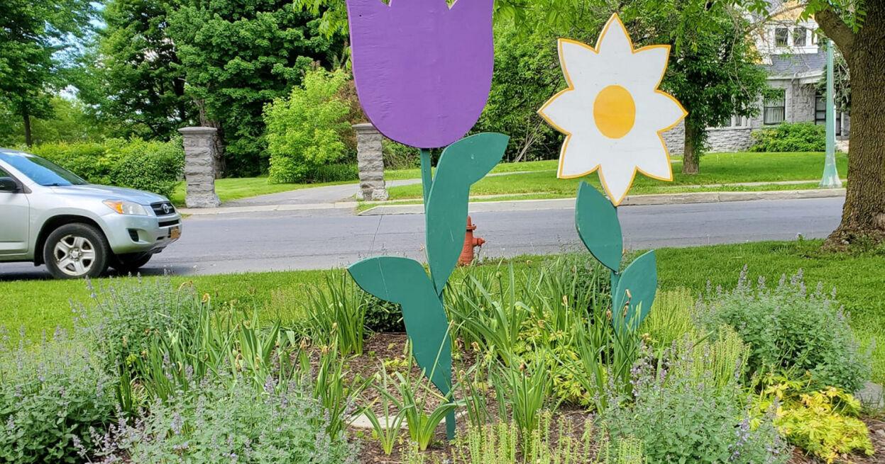 Five-foot-tall daisy stolen from South Massey Street park - Vimarsana News