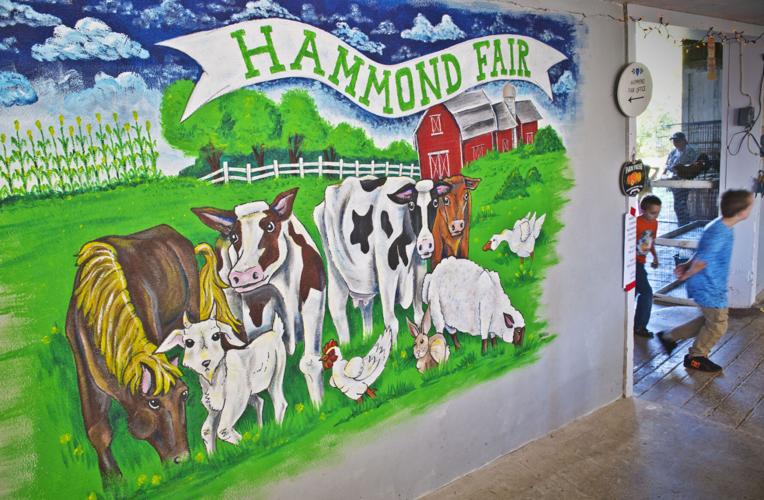 In 81st year, Hammond Fair is for kids St. Lawrence County