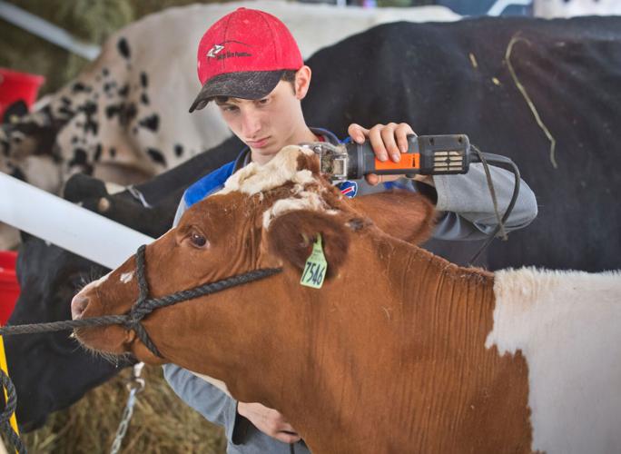 Gouverneur and St. Lawrence County Fair opens with agriculture prize