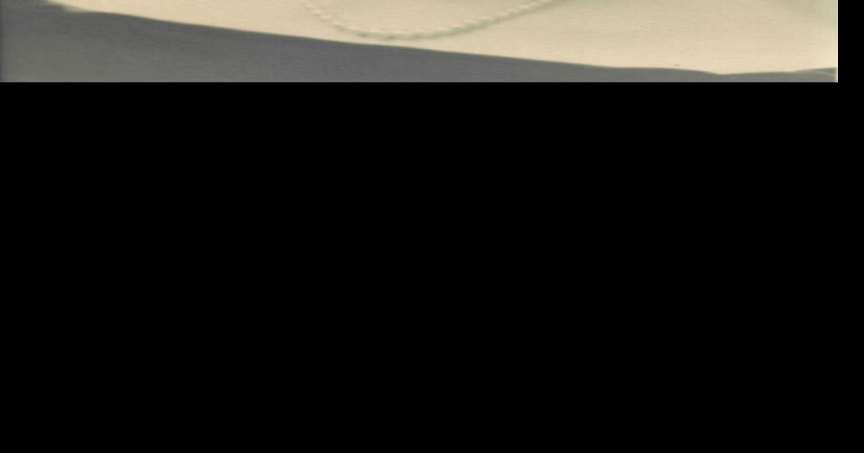 Nancy A. Gaylord Obituaries