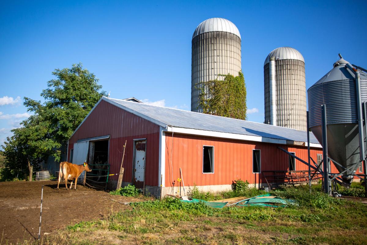 Guarding our food supply