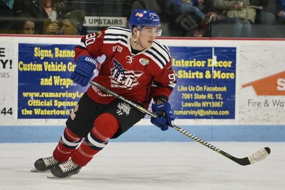 Local Pro Hockey Desjarlais Brothers Find Home Together Often On Same Line With Wolves Wolves Nny360 Com