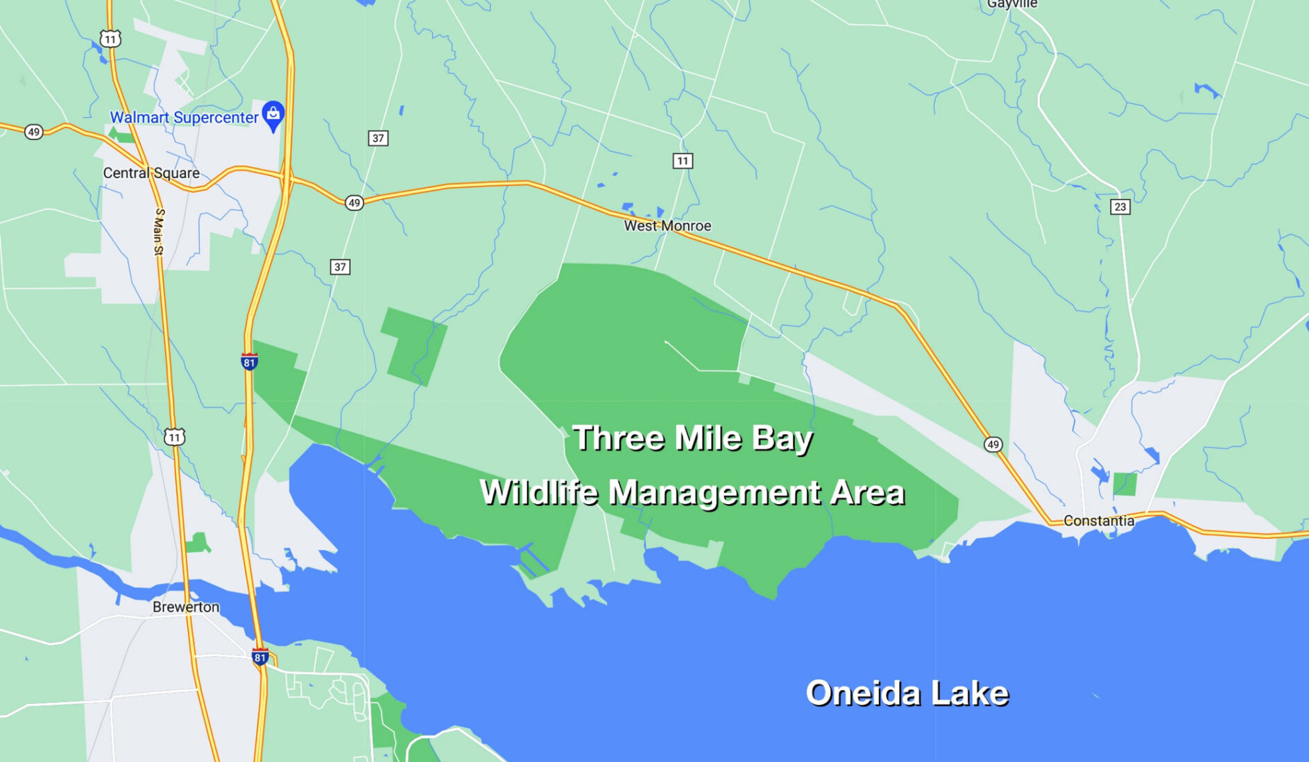 DEC lays out 10-year plan for the Three Mile Bay Wildlife Management Area - Vimarsana News