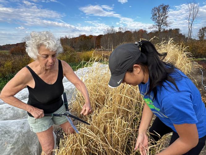 Warmer temperatures are extending farmer’s growing season Business