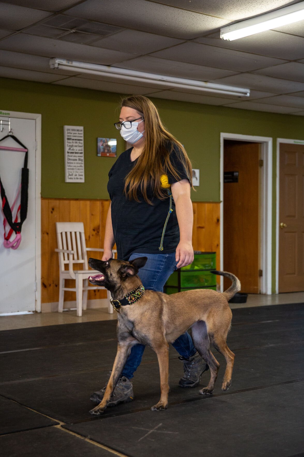 Watertown dog trainer’s worldclass pup from Russia has been stuck in