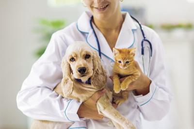 Call for appointment starting Sept. 8 – Rabies vaccination clinics to wind down