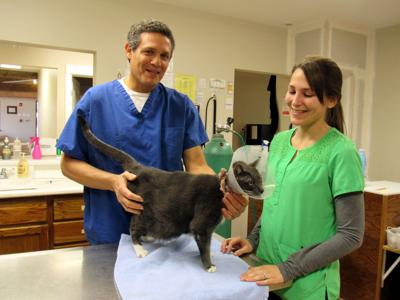 Java’s Vet Center adds pet services