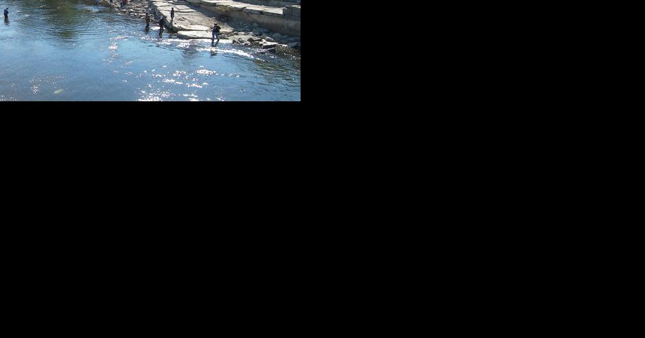 Local government training: Healthy watersheds, resilient communities; Nov. 9, Altmar - Vimarsana News