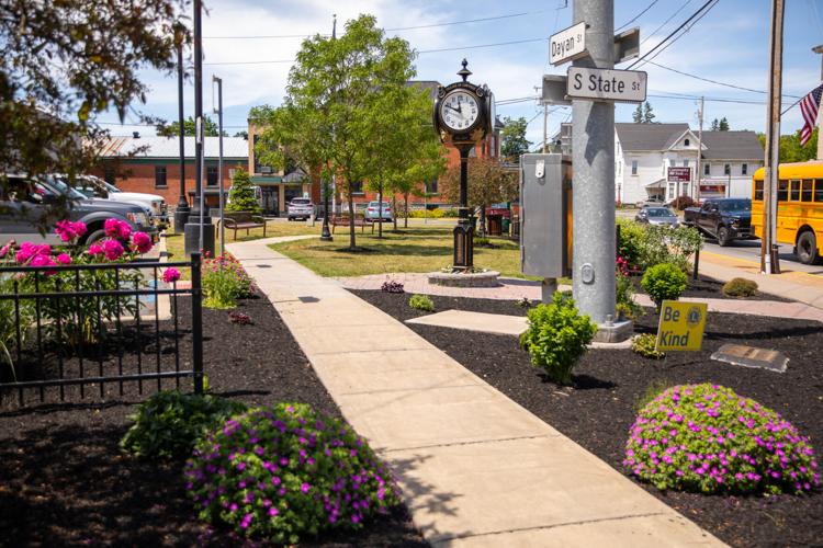 Lowville taking new approach in DRI application Business