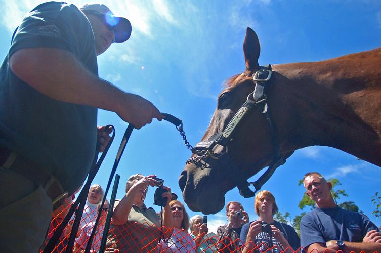 Horse racing 20 years ago, Funny Cide put Sackets Harbor on horse